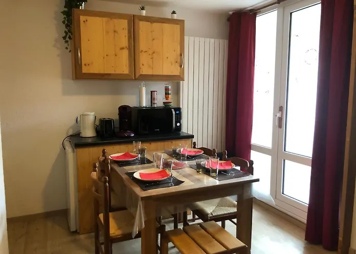 Petit Appartement Labellise Les 2 Alpes Residence Arc En Ciel Telesiege Petite Aiguille