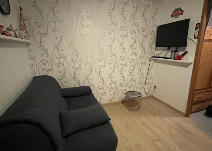 Petit Appartement Labellise Les 2 Alpes Residence Arc En Ciel Telesiege Petite Aiguille